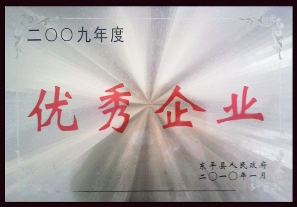 企業證書
